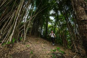 BIB: 
                            <button type="button" onclick="openModal(19395986)" class="btn btn-primary btn-sm float-right btn-popup" data-toggle="modal" data-target=".modal-high-quality">
                        <i class="fas fa-shopping-cart"></i> Add to Cart
                    </button>
                                            <button type="button" onclick="isThisMe(19395986, true)" class="btn btn-success btn-sm float-right btn-popup btn-isme hidden" data-toggle="tooltip" data-placement="bottom" title="นี่คือรูปของคุณใช่ไหม คลิกที่นี่เพื่อเอาเข้าอัลบั้ม">
                        <i class="fas fa-plus"></i> Add to album
                    </button>
                    <button type="button" onclick="isThisMe(19395986, false)" class="btn btn-warning btn-sm float-right btn-popup btn-isnotme hidden">
                        <i class="fas fa-ban"></i> Remove from album
                    </button>